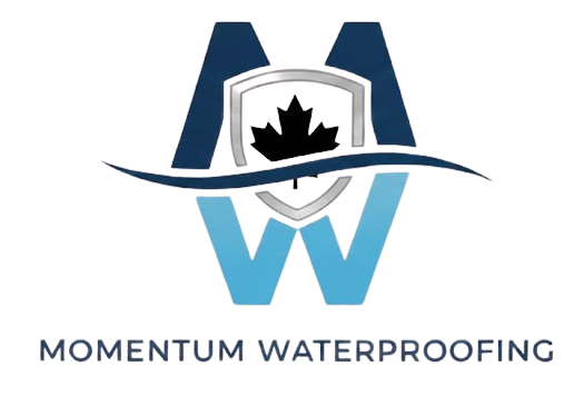 Momentum Logo